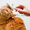 آموزش آرایشگری پت