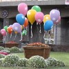 تولید گلدان های فانتزی شهری فایبرگلاس