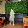 دیوار سبز  گروه مهندسی مهرسروش