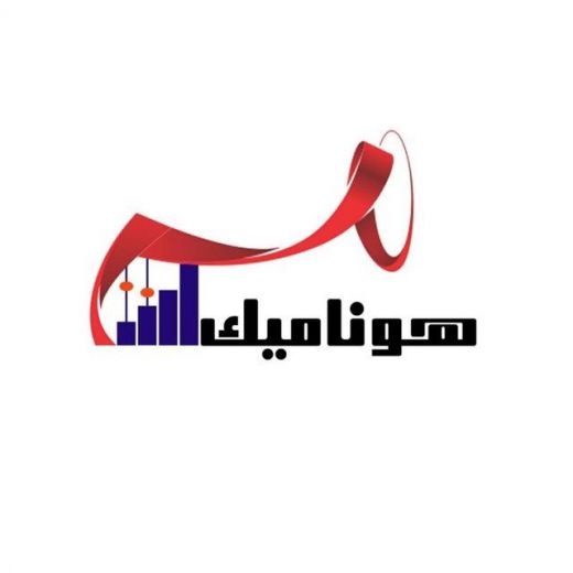 گروه خدمات مالی و مالیاتی هونامیک