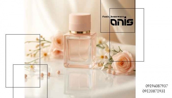 پخش عمده ی عطر آمور آمور زنانه + قیمت