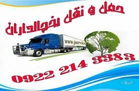 خدمات حمل و نقل یخچالی تهران