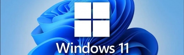 لایسنس ویندوز 11, Windows 11 Enterprise LTSC