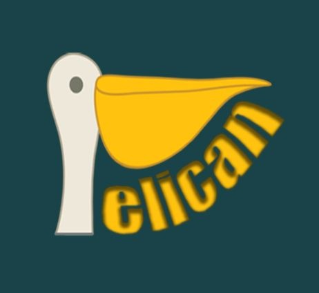 فروش پرنده