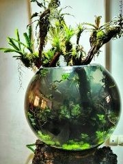 مشاوره، طراحی و اجرای انواع اکوسیستم طبیعی جنگلی،