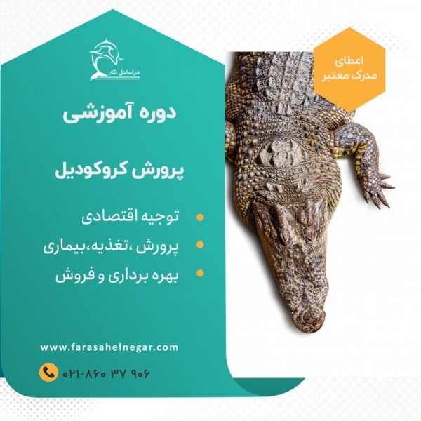 دوره آموزشی پرورش کروکودیل