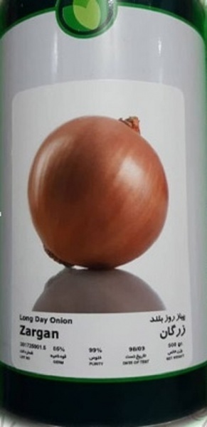 بذر پیاز زرد زرگان