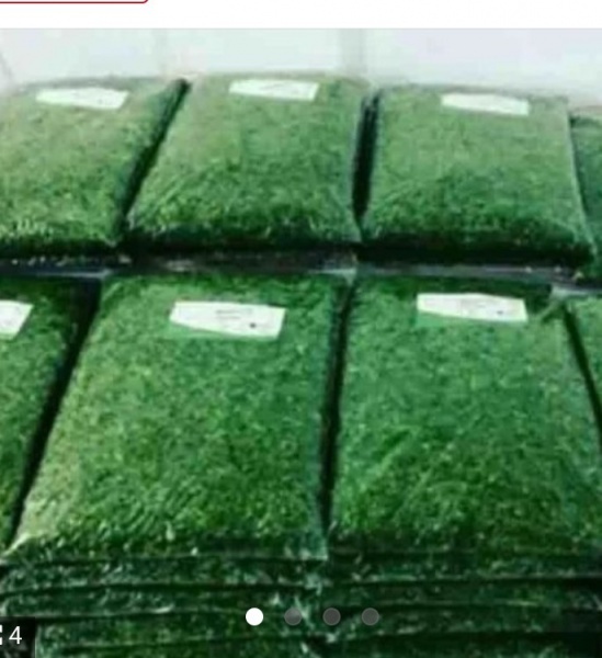 سبزی اماده کرامانشاه
