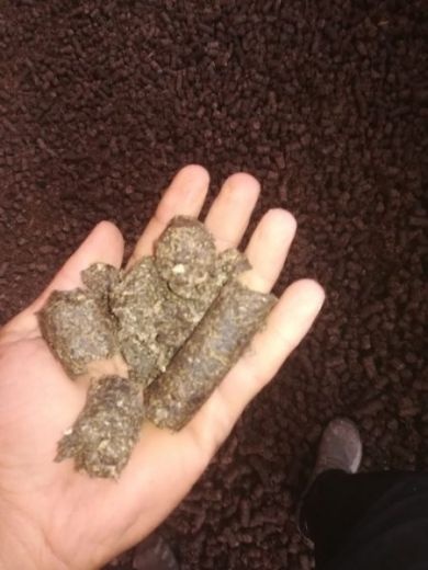 بازرگانی خوراک دام