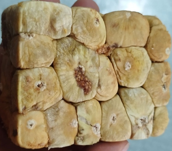 انجیر مرطوب پرسی با فشرده