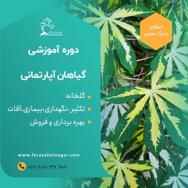 آموزش تخصصی برای علاقمندان به گل و گیاه