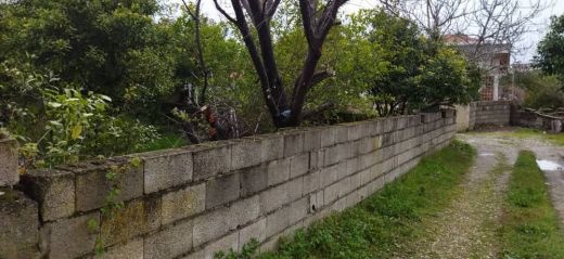 زمین ۱۲۳۰متری/دارای جواز آب،برق،گاز
