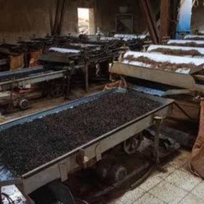 نیازمند 5نفرکارگرآقا برای کارخانه چای درترکیه