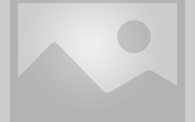 درج نامحدود آگهی ویژه با لینک فالو